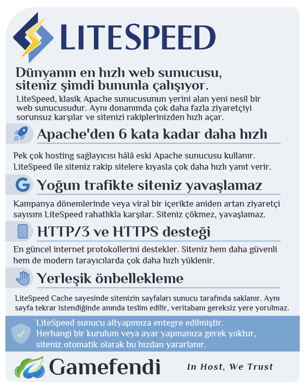 detay-karti-litespeed.webp