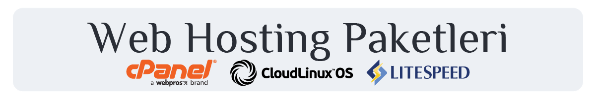 web-hosting-baslik.webp